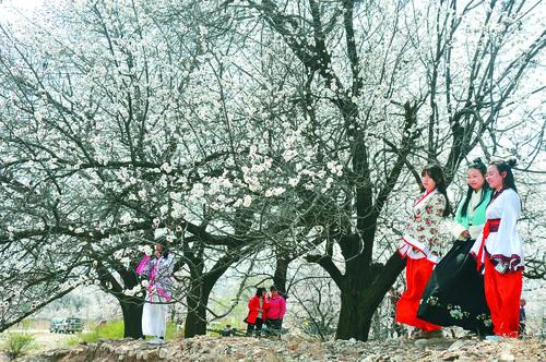 看球帝app正版安装 官方界面预览